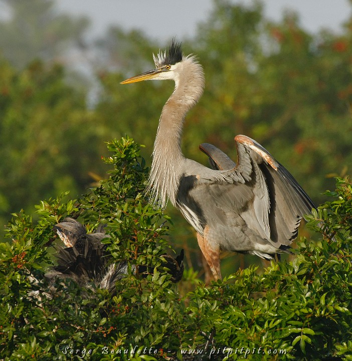 2009-01-06 08-35-23__MG_0547.JPG